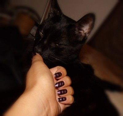 ellie_mendez_wearing_magnetic_polish