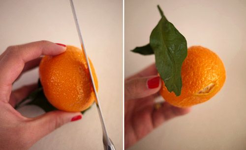 DIY Satsuma candle